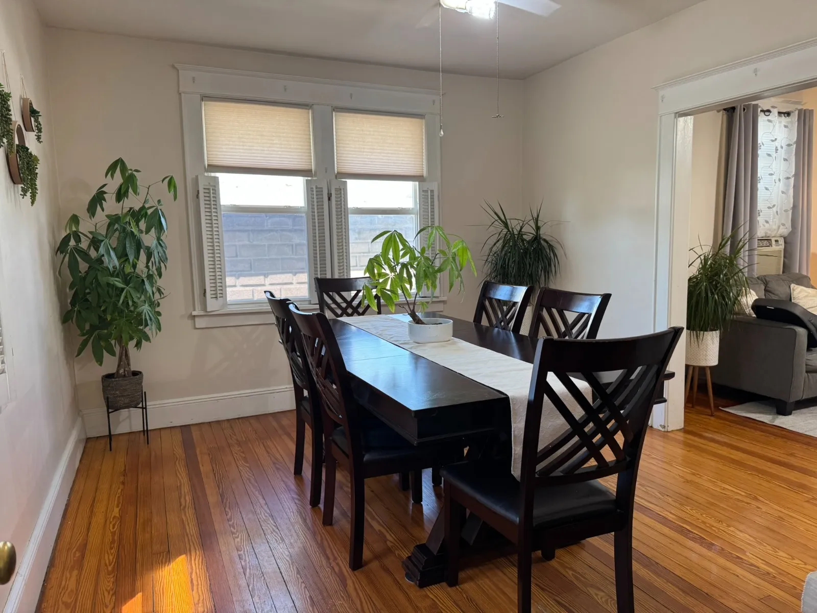 Dining room after restyling by Kultur & Decor: dining table with money-tree centerpiece; opens to living room.
