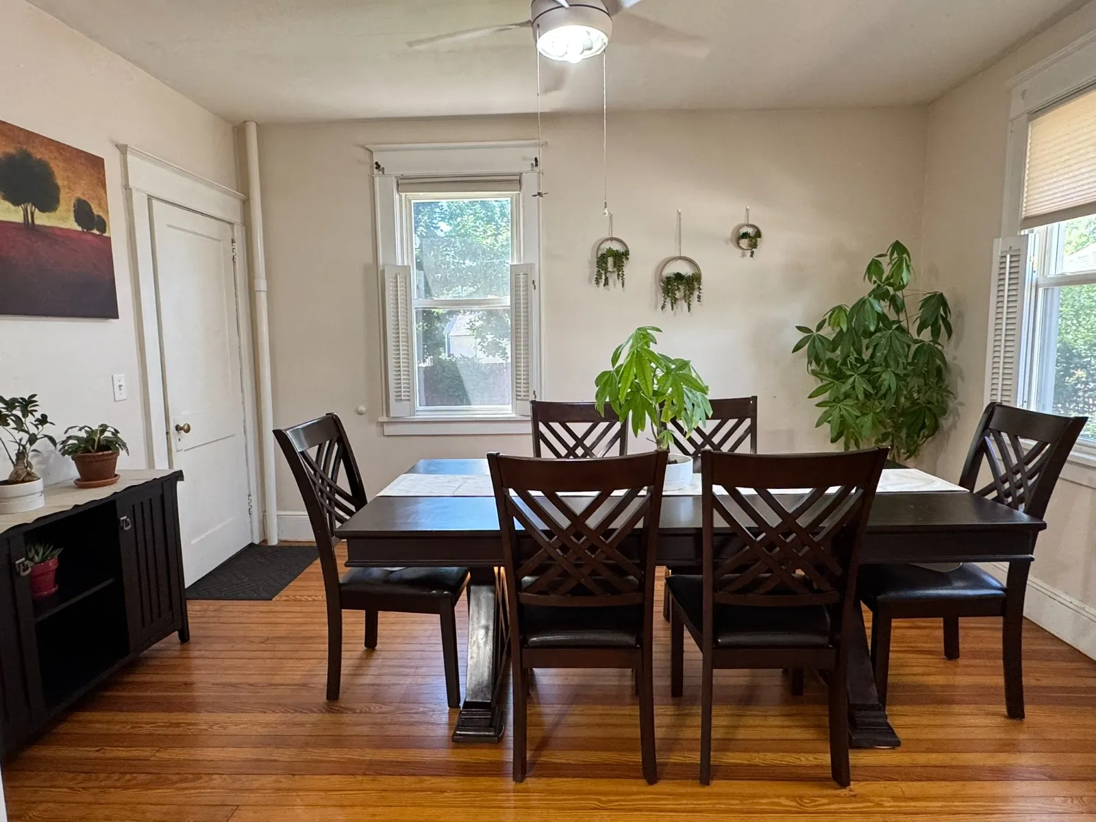 Dining room after restyling by Kultur & Decor: dining: sideboard, tree canvas, hanging ring planters.