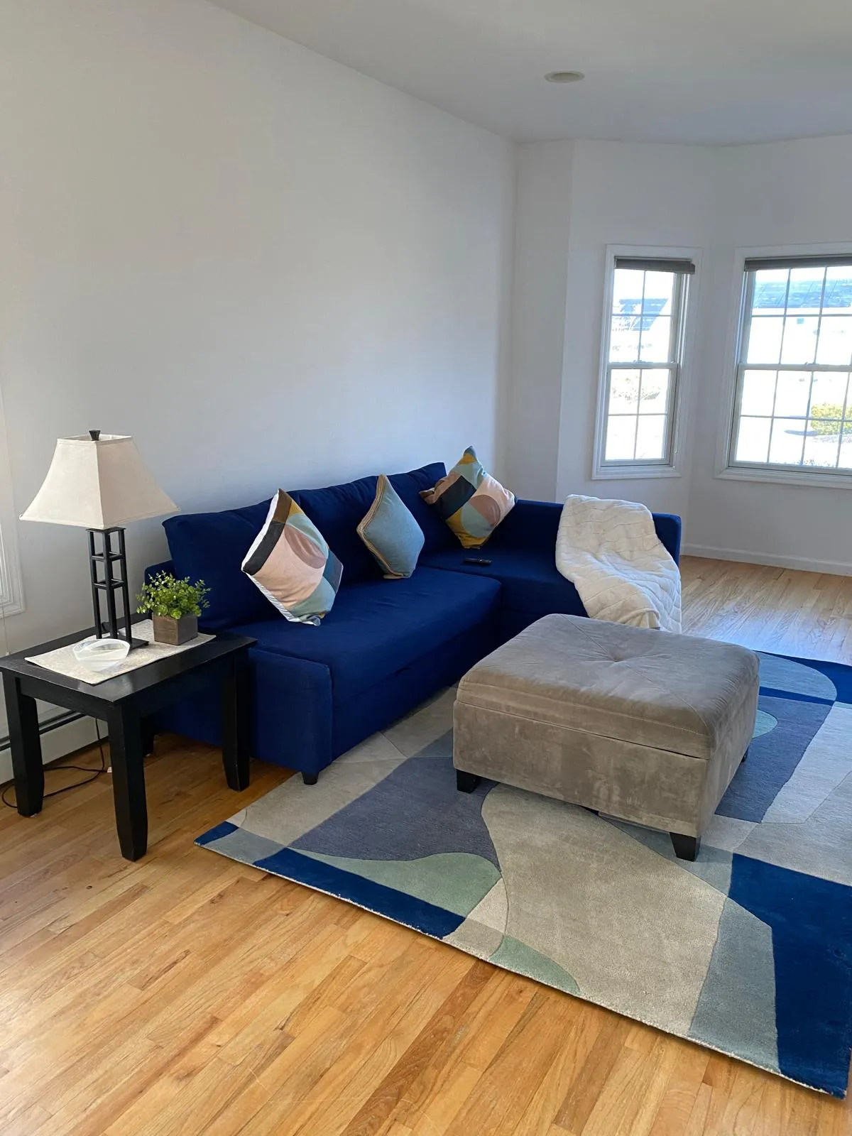 Living room after restyling by Kultur & Decor: detail: pastel pillows along the navy sofa, lamp and greenery on a black side table.